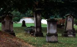 Fried Diesbar-Seußlitz